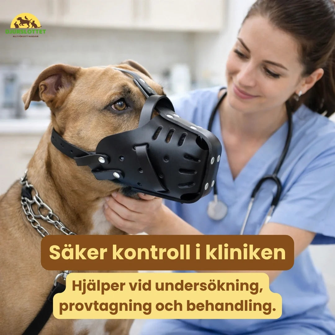 Canimora Muzzle for Large Dogs Safe control at the clinic Petifo