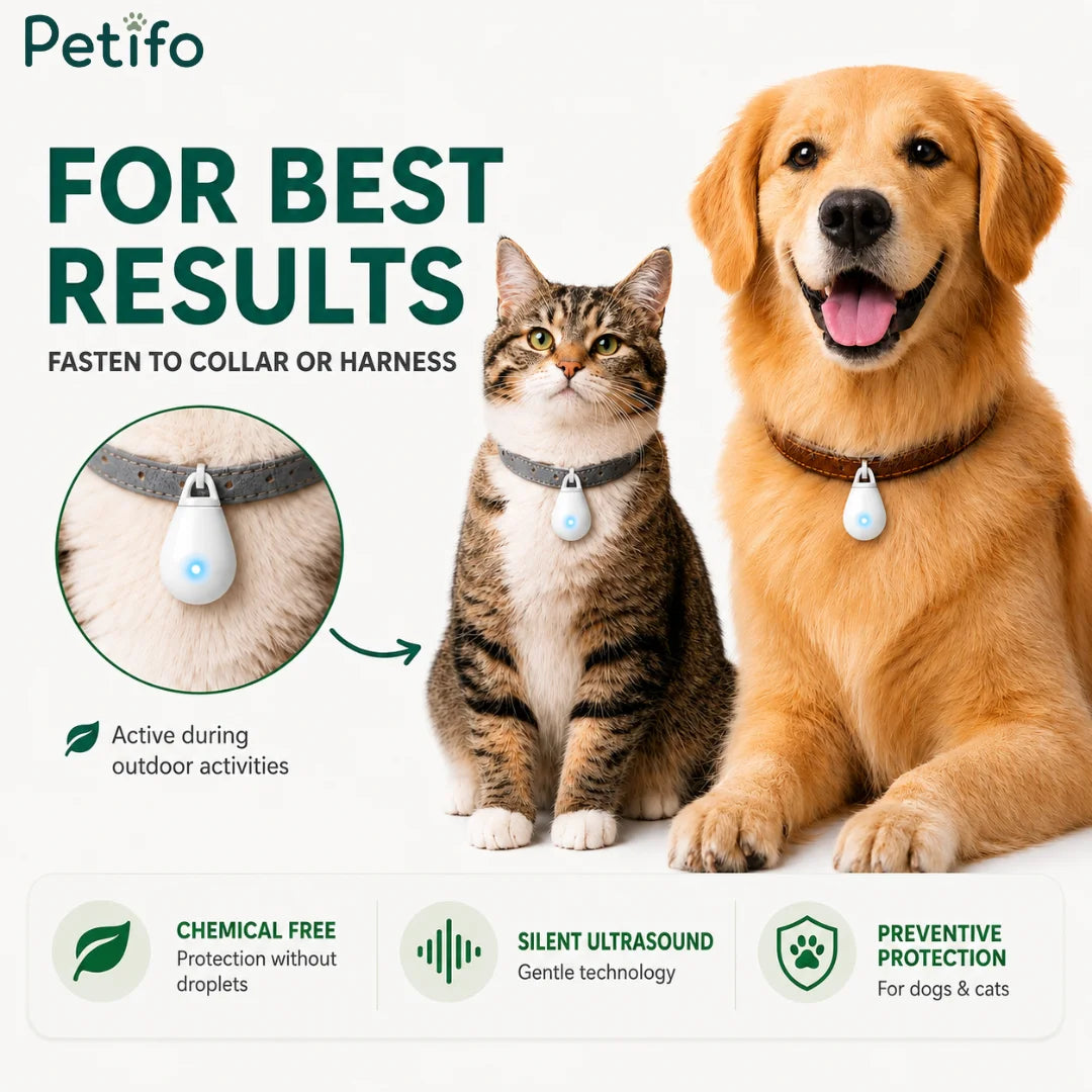 A cat and a dog wearing chemical-free ultrasonic tick protection tags fastened to their collars for outdoor activities.