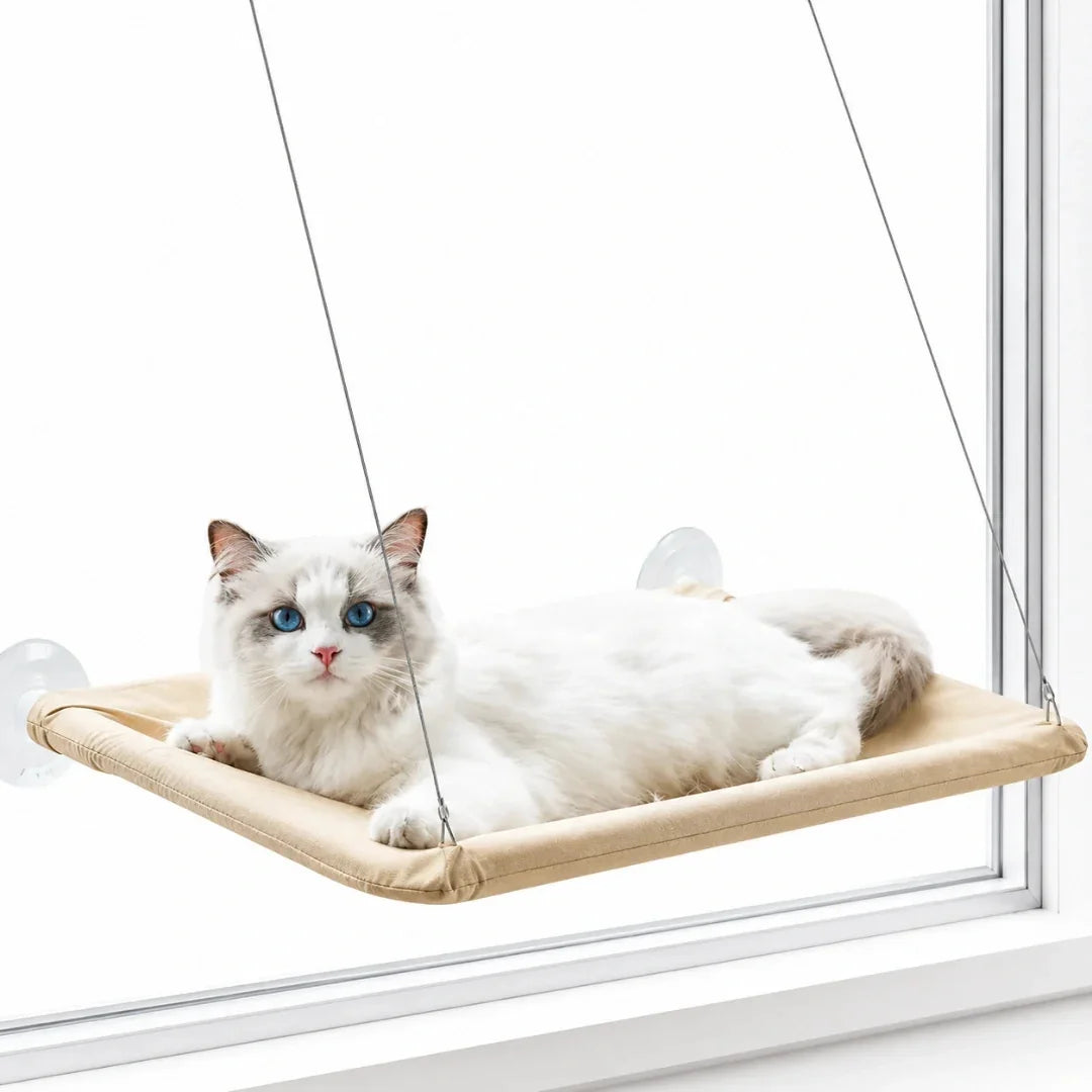 A white and grey cat with striking blue eyes resting comfortably on a beige window-mounted cat hammock attached to a glas