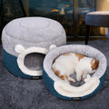 Orange and white cat sleeping in an open Petifo cat bed next to a cave bed