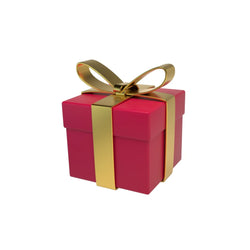 Christmas gift for pets - Petifo
