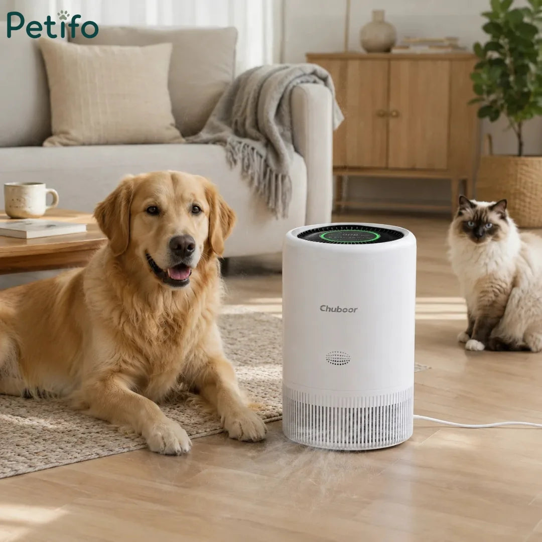 Pet-friendly Chuboor air purifier in a cozy living room setting.