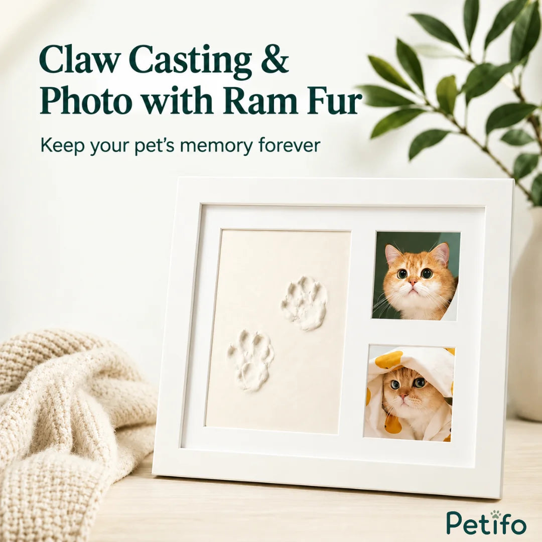 Promotional banner showcasing a white pet memory frame with clay paw casting and two cat photographs next to a knitted blanket.