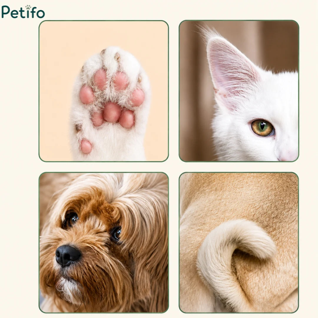 Four-panel display showing groomed pet features including a clean pink paw pad, a white cat's ear, a fluffy puppy's face, and a curled tail.