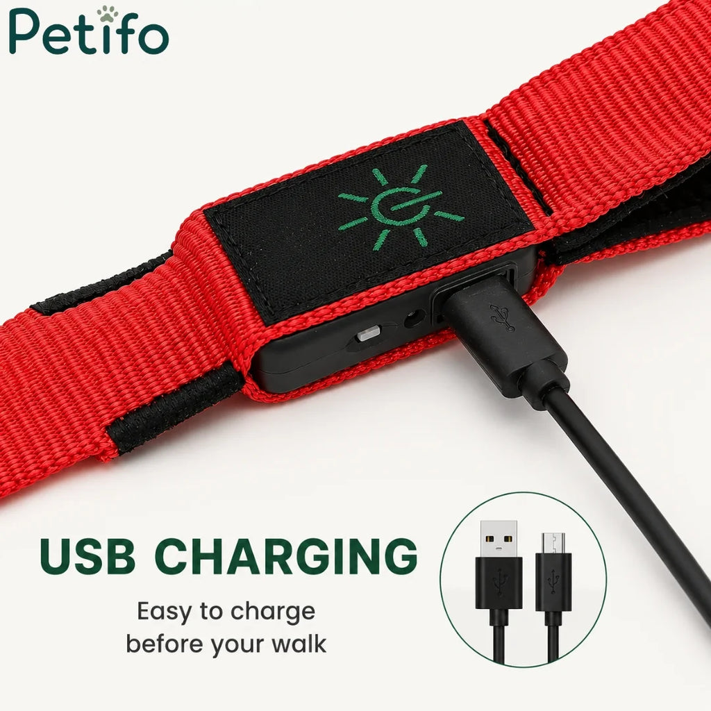 Close-up of USB charging port on Petifo LED dog leash
