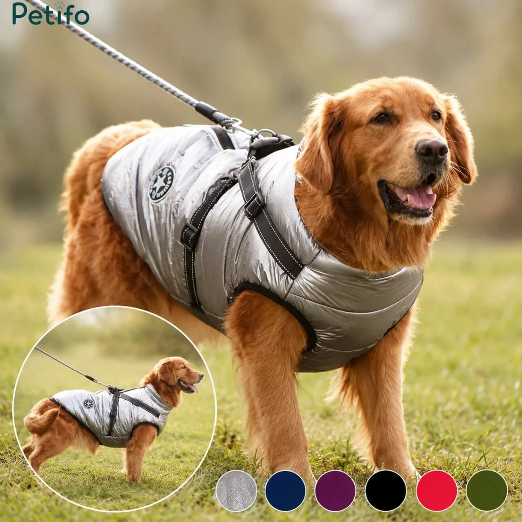Golden retriever modeling a metallic silver winter dog coat with color options displayed at the bottom.