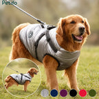 Golden retriever modeling a metallic silver winter dog coat with color options displayed at the bottom.