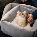 Cute fluffy golden kitten resting comfortably inside a grey plush pet booster seat while being gently petted.
