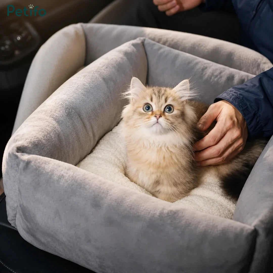 Cute fluffy golden kitten resting comfortably inside a grey plush pet booster seat while being gently petted.