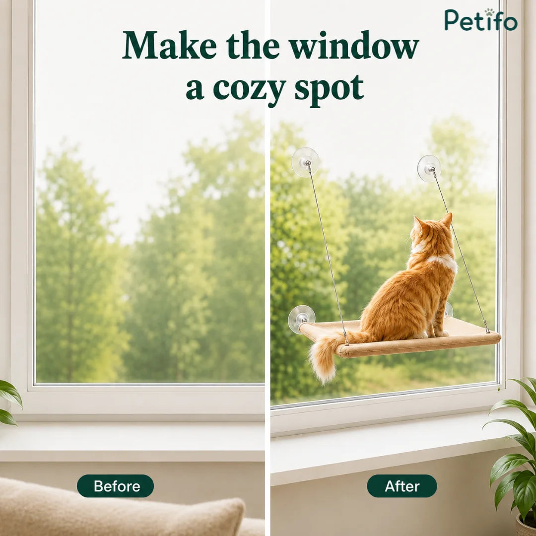 A "Before and After" comparison showcasing how the window hammock transforms an ordinary window into a cozy pet resting spot.
