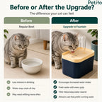 Comparison showing the benefits of upgrading from a regular water bowl to a Petifo cat water fountain to encourage increased water intake.