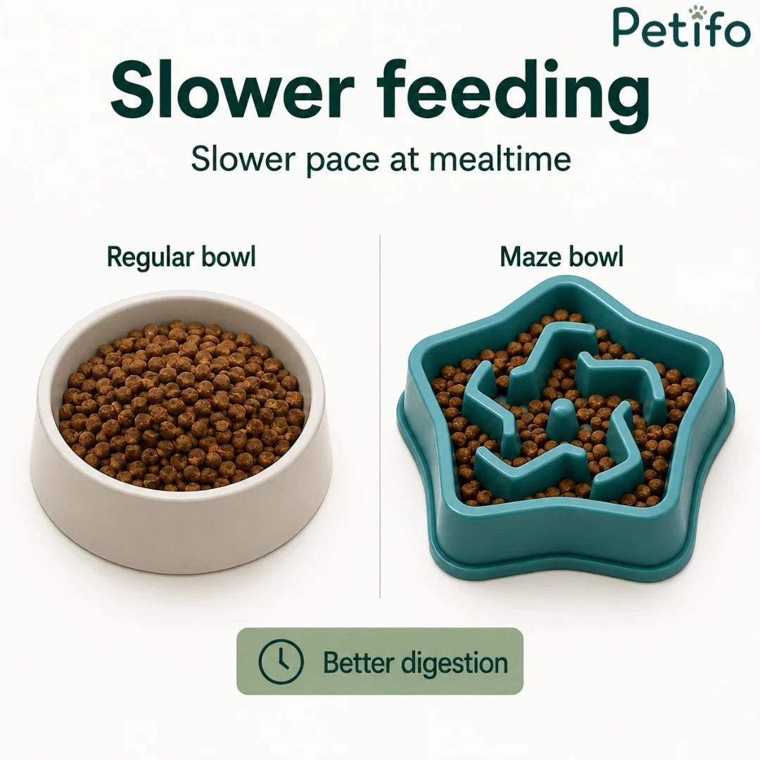 Comparison showing regular dog bowl versus Petifo maze slow feeder bowl