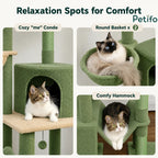 Comparison graphic of cat relaxation features including a cozy condo, two round baskets, and a comfortable hammock.