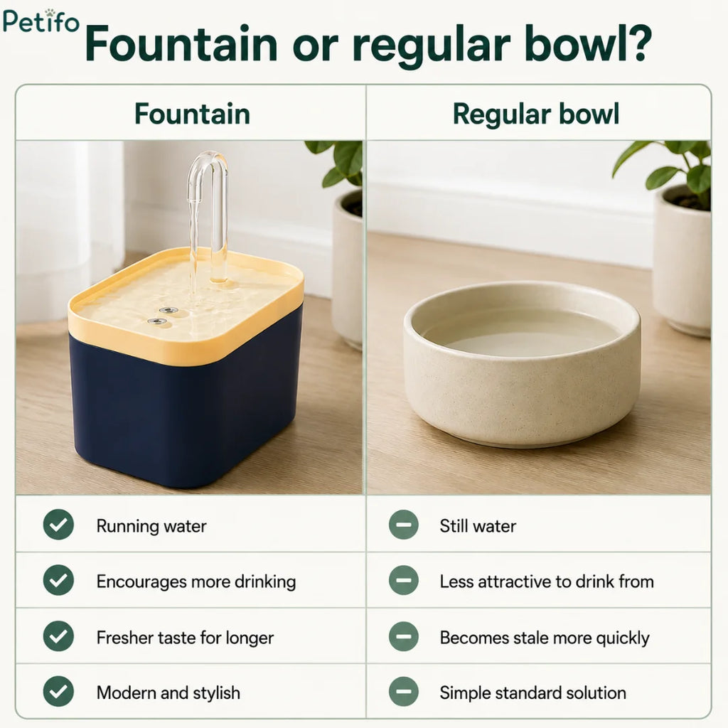 Comparison infographic detailing the advantages of a Petifo water fountain versus a regular static water bowl.