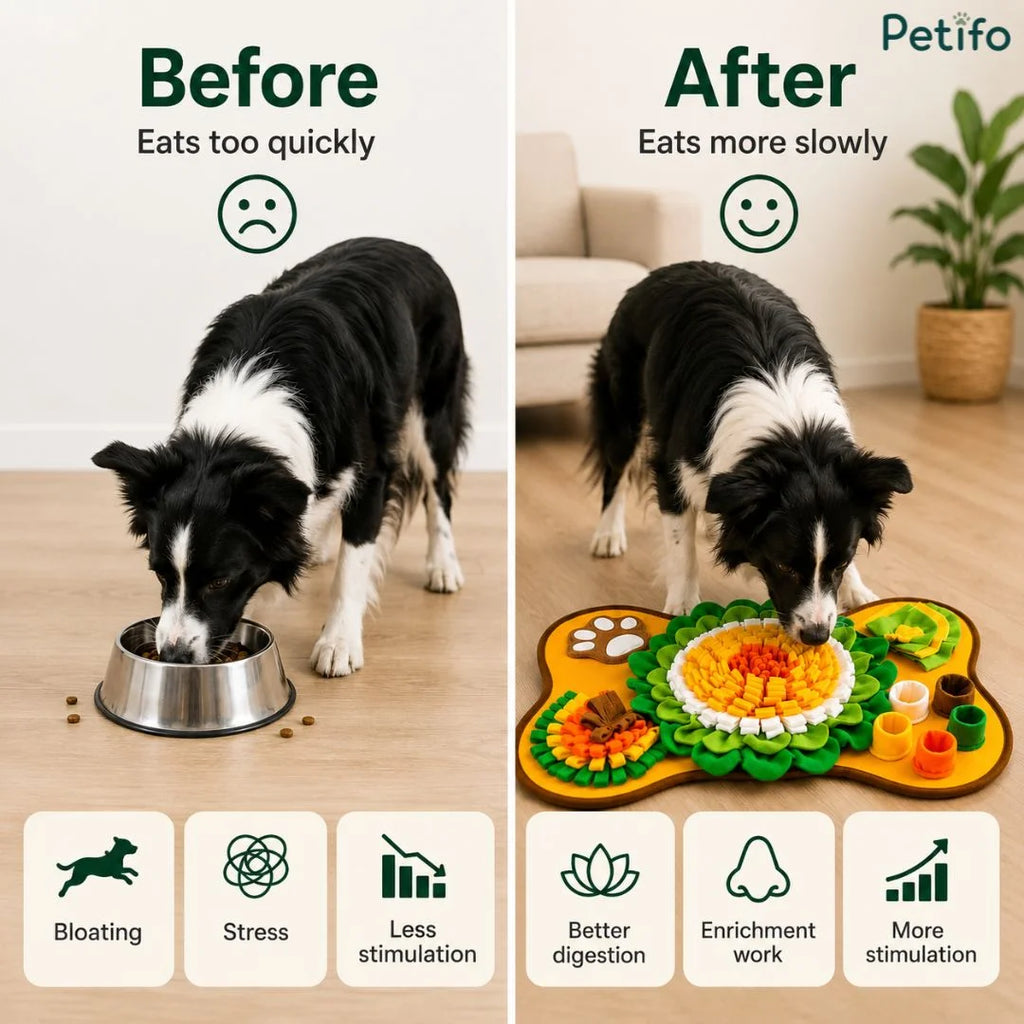 Comparison infographic showing a dog eating too quickly from a bowl versus eating more slowly and peacefully using a snuffle mat.
