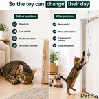   showing how the interactive toy helps change a cat's day by reducing boredom and increasing indoor activity.