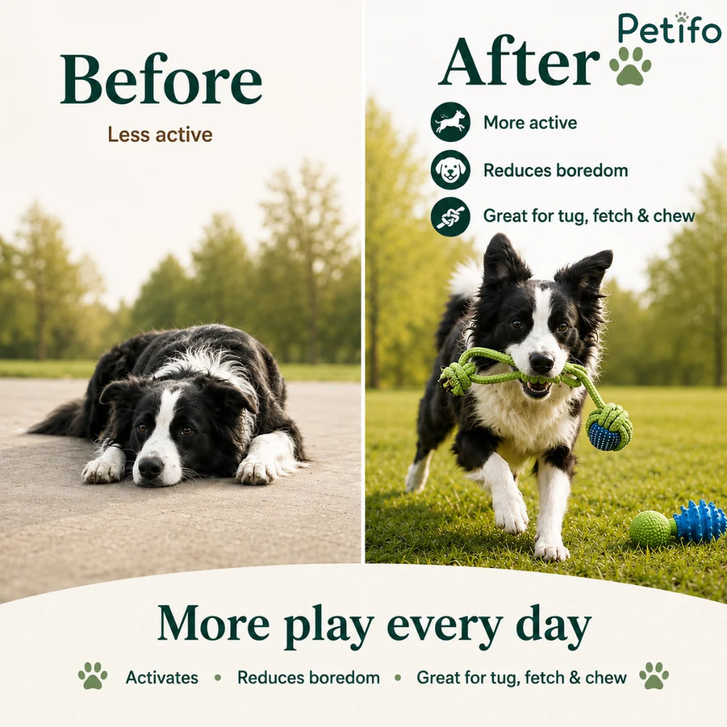 Before and after comparison showing a dog transforming from less active to energetic and playful using cotton rope toys.