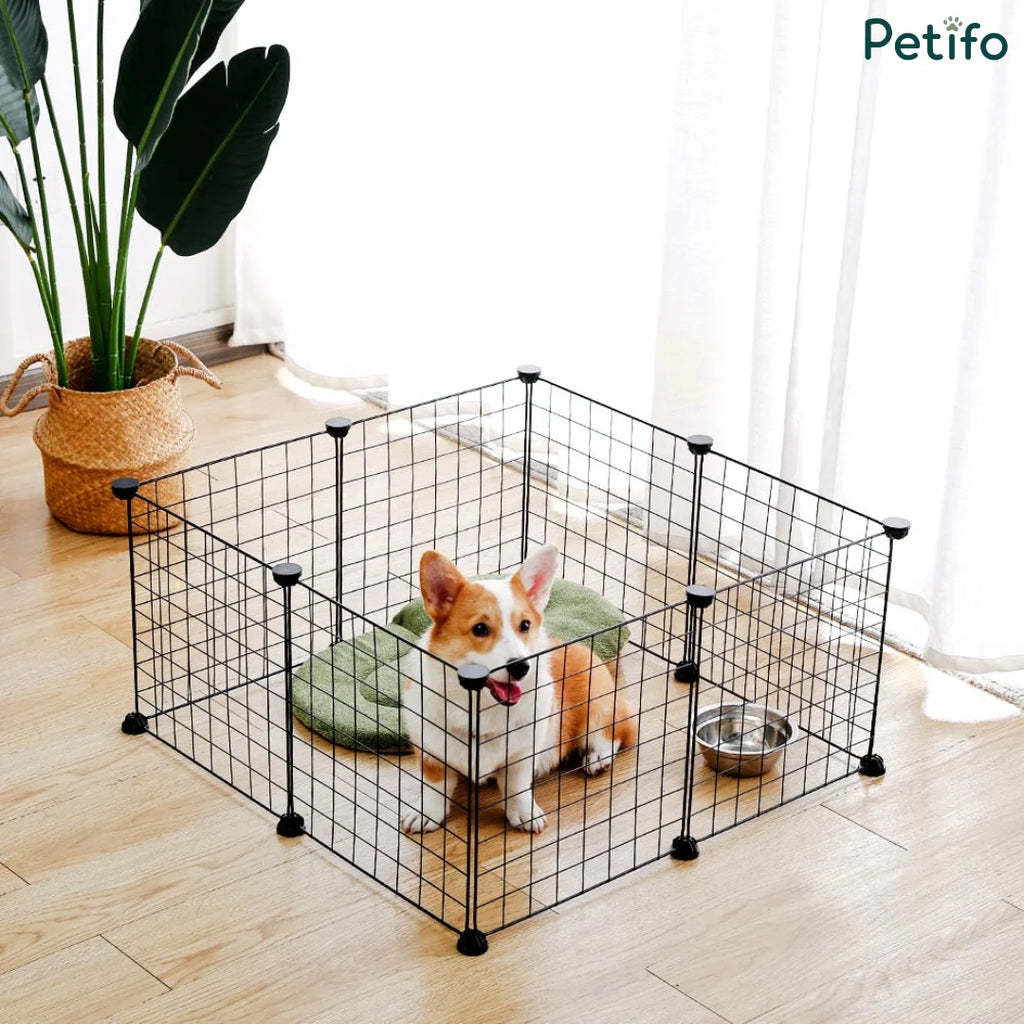 Petifo square black wire dog playpen featuring a cozy green cushion and puppy inside.