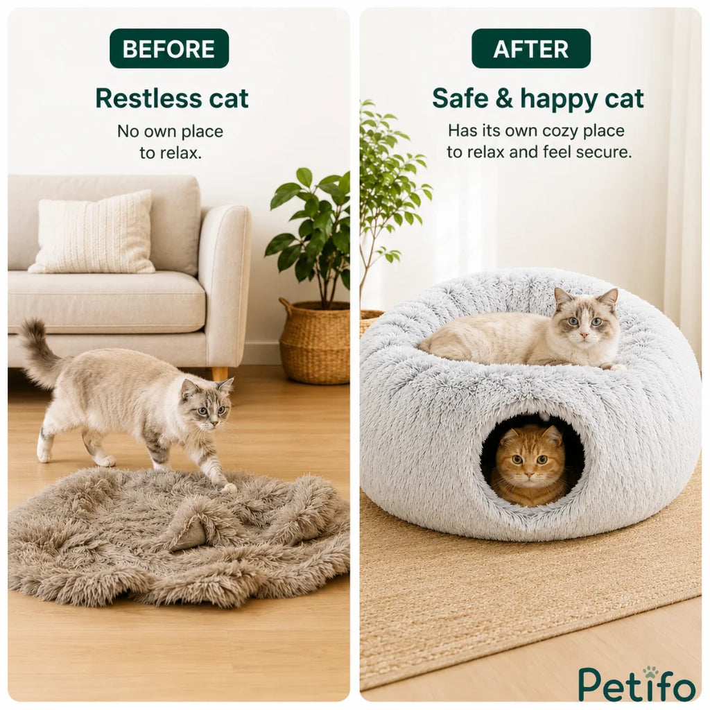 A before-and-after comparison showing an active cat transitioning from a plain floor mat to feeling secure inside a cozy donut tunnel bed.