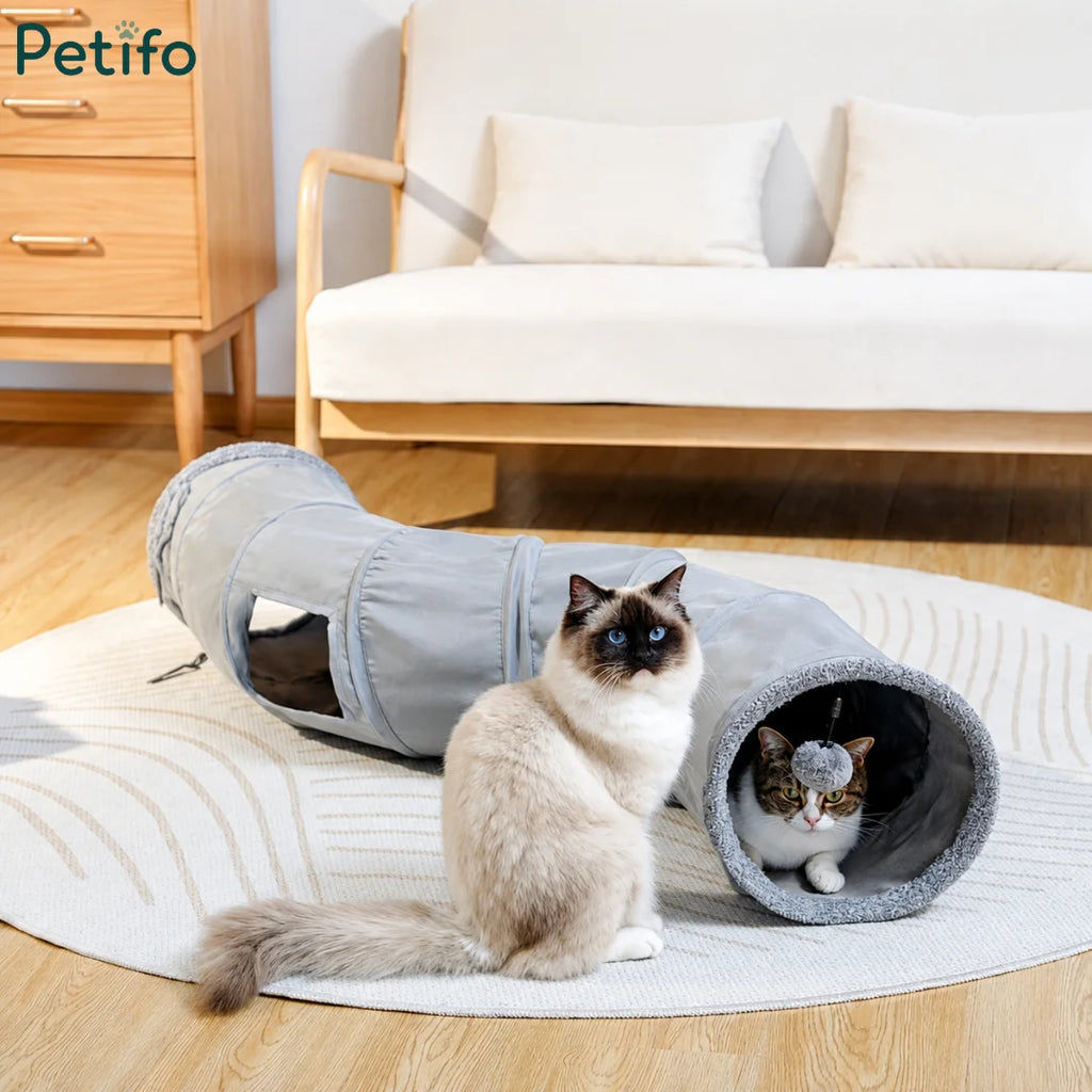Two cute cats playing inside and outside a cozy grey plush cat tunnel in a modern living room.