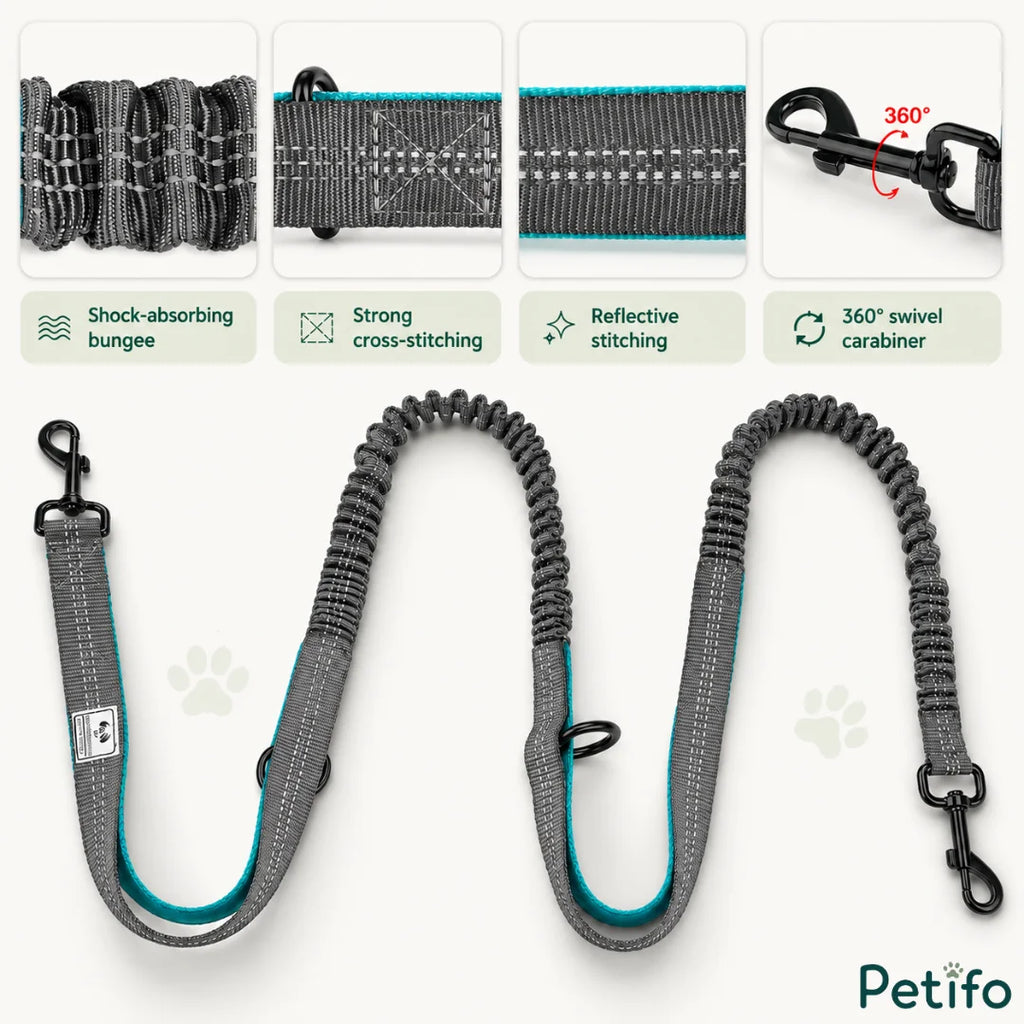 Detailed feature breakdown of the bungee leash showing shock-absorbing elasticity, cross-stitching, reflective threads, and a 360-degree swivel carabiner.