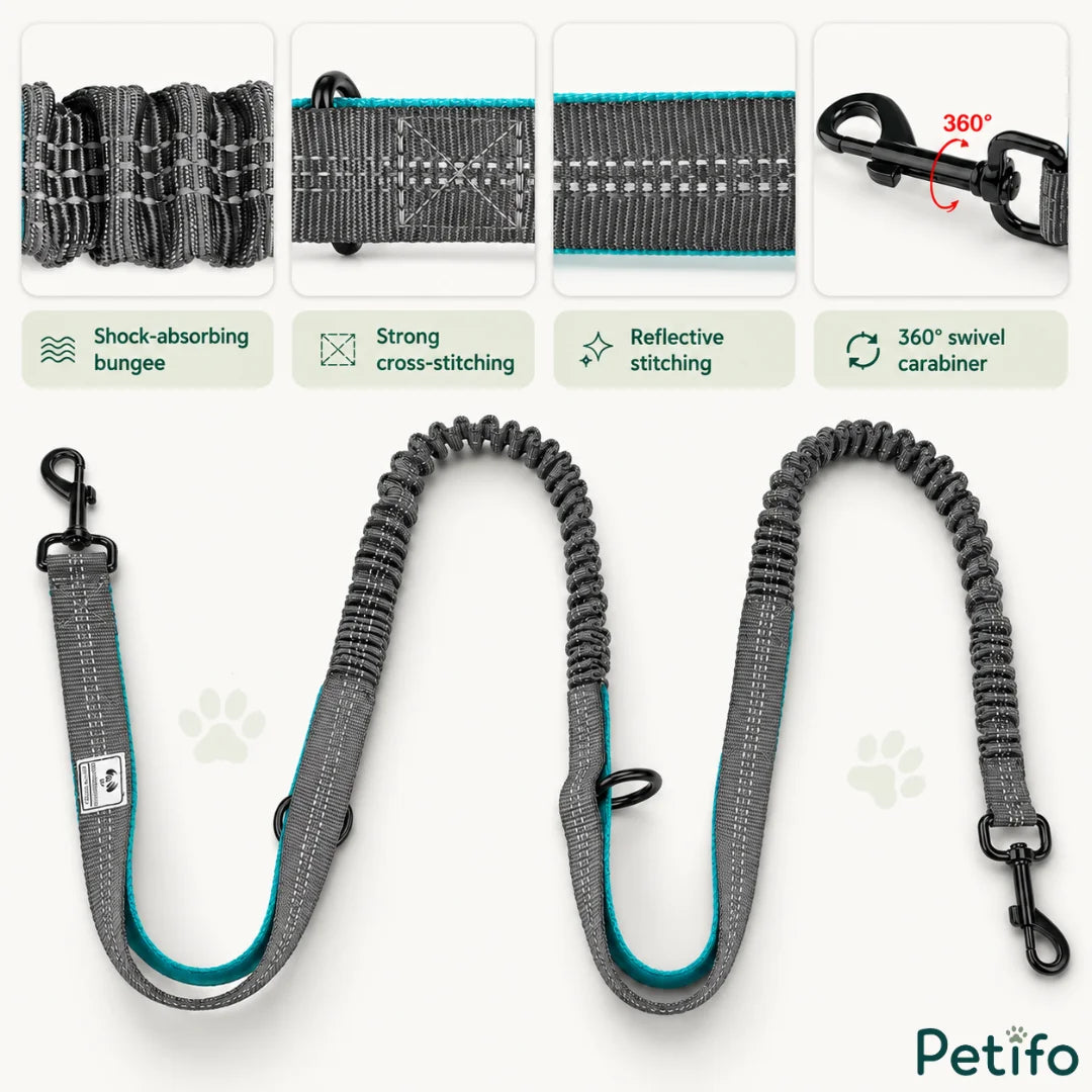 Detailed feature breakdown of the bungee leash showing shock-absorbing elasticity, cross-stitching, reflective threads, and a 360-degree swivel carabiner.