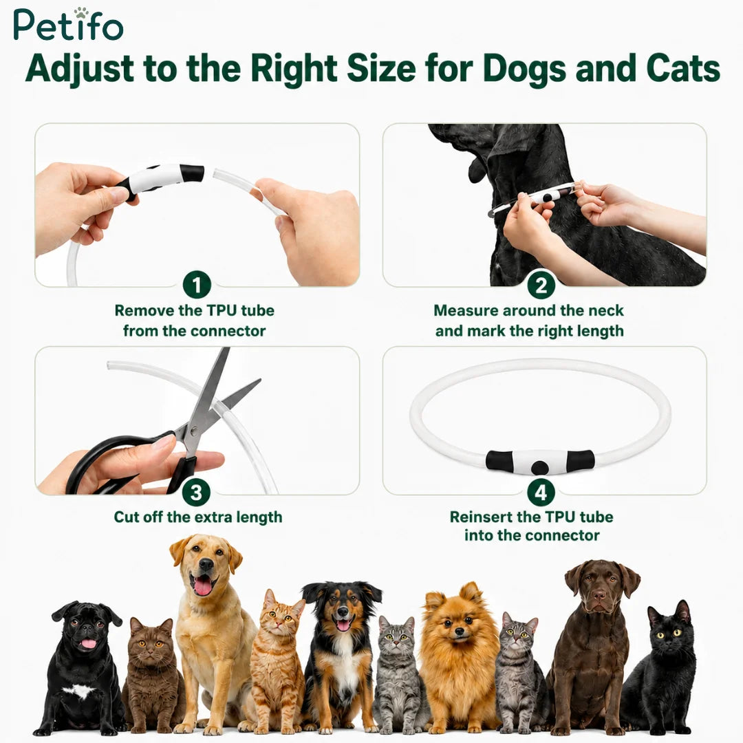 Step-by-step sizing and cutting guide showing how to adjust the glowing collar for dogs and cats.