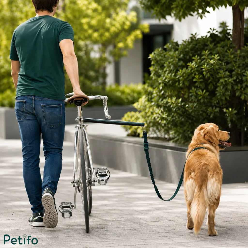 Cyclist riding a bike safely with a fluffy dog using the Petifo bicycle dog leash in a park.