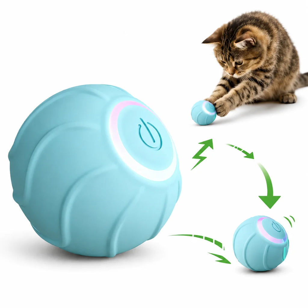 Blue Petifo automatic cat toy ball demonstrating active rolling operation cycles with a cat batting at a smaller version.