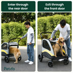 Demonstration of a Golden Retriever dog entering the rear door and exiting the front door of a Petifo pet stroller