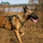 This ProSafe dog harness is designed to provide a secure and comfortable fit for outdoor activities.