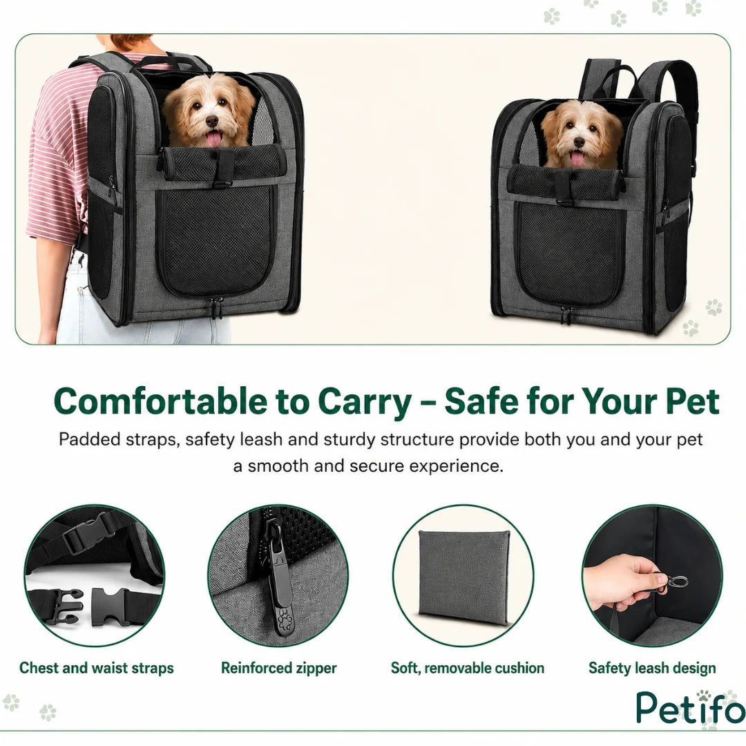 Gray pet travel backpack featuring a puppy looking out and detailed highlights of its straps, zippers, removable cushion, and safety leash.