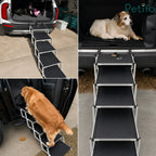 Collage showing various dog breeds using a folding aluminum pet staircase to enter and exit different vehicle trunks.
