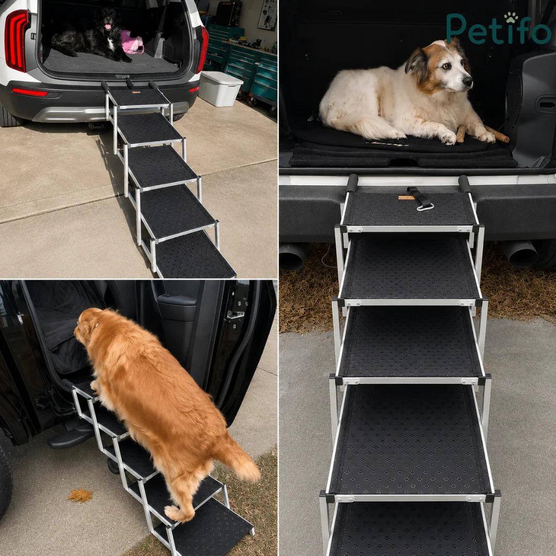 Collage showing various dog breeds using a folding aluminum pet staircase to enter and exit different vehicle trunks.