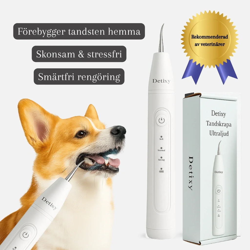 Detixy Ultrasonic Tooth Scaler Recommended by vets -Petifo