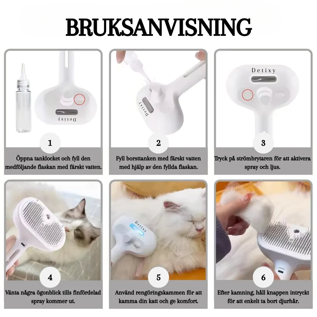 Detixy steam brush Instructions for use - Petifo