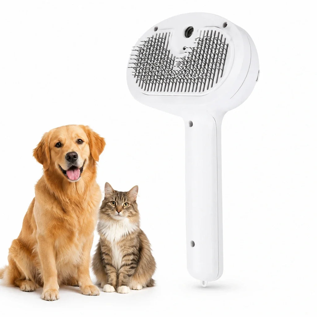 Detixy steam brush Petifo