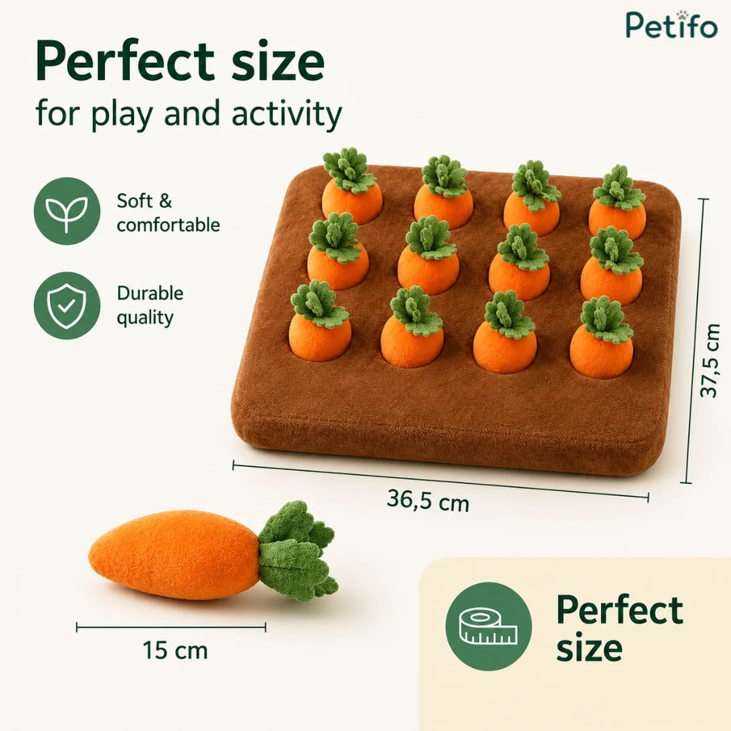 Dimension guide showing the Petifo carrot harvest dog toy measuring 36.5cm by 37.5cm with individual 15cm carrots.