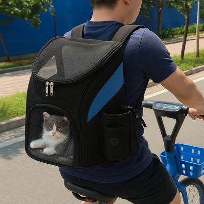 Katt i blå och svart ryggsäcksväska under cykeltur – Djurslottet
