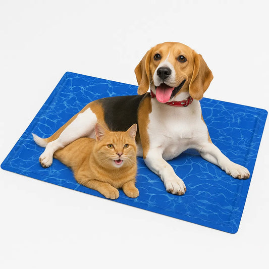 Beagle och orange katt vilar tillsammans på blå kylmatta