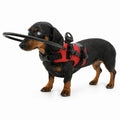 DogHalo protective harness for blind dogs in red - Petifo