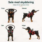 DogHalo protective harness with a soft protective ring in front of the nose - Petifo
