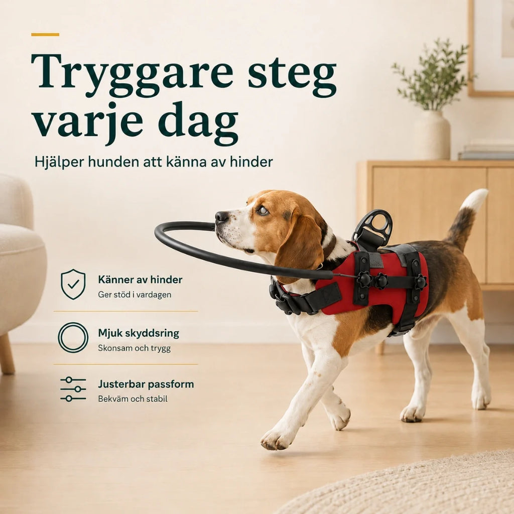 DogHalo protective harness gives a blind dog safer steps every day - Petifo