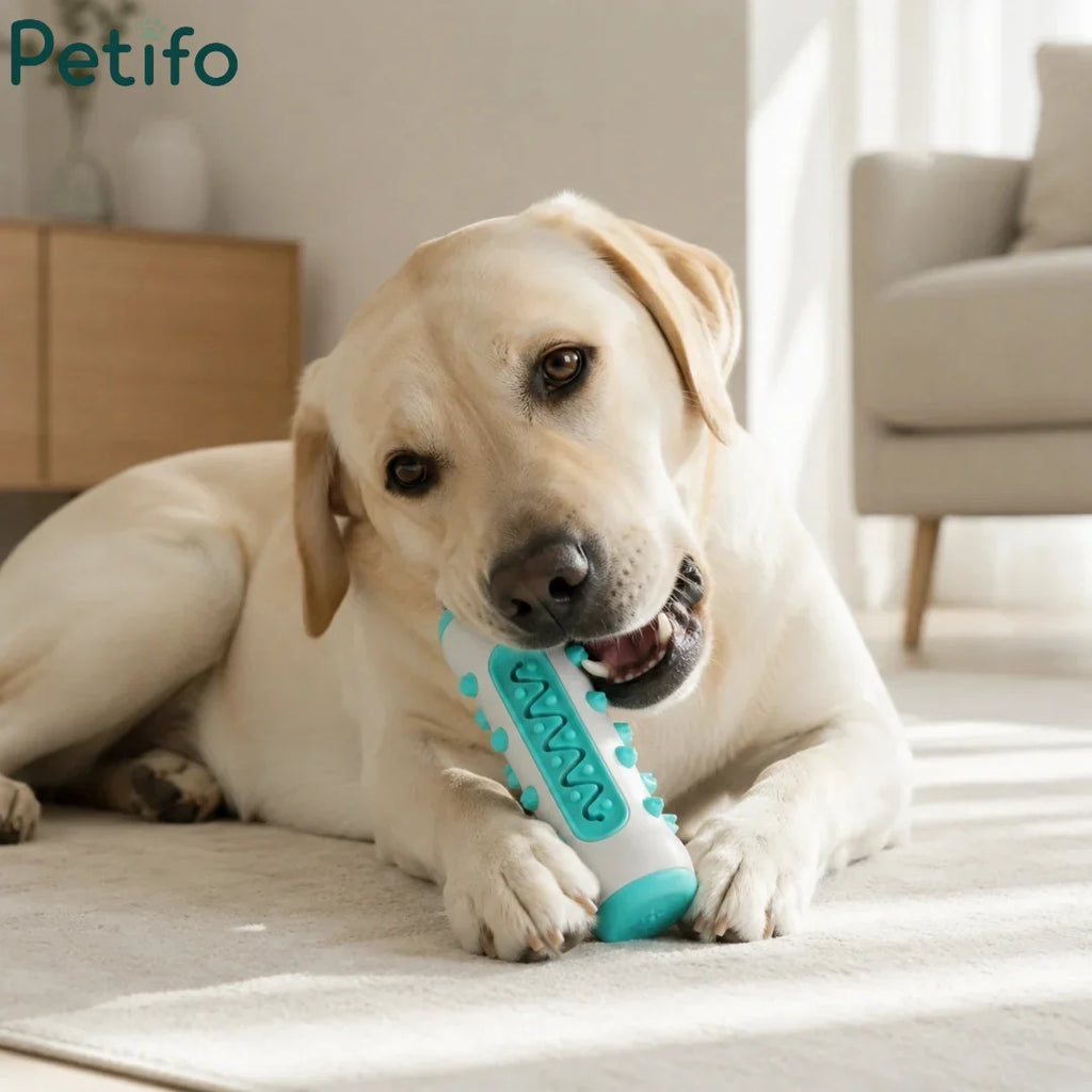Golden retriever dog playing and chewing on a white and teal Petifo dog dental chew toy on a living room rug.