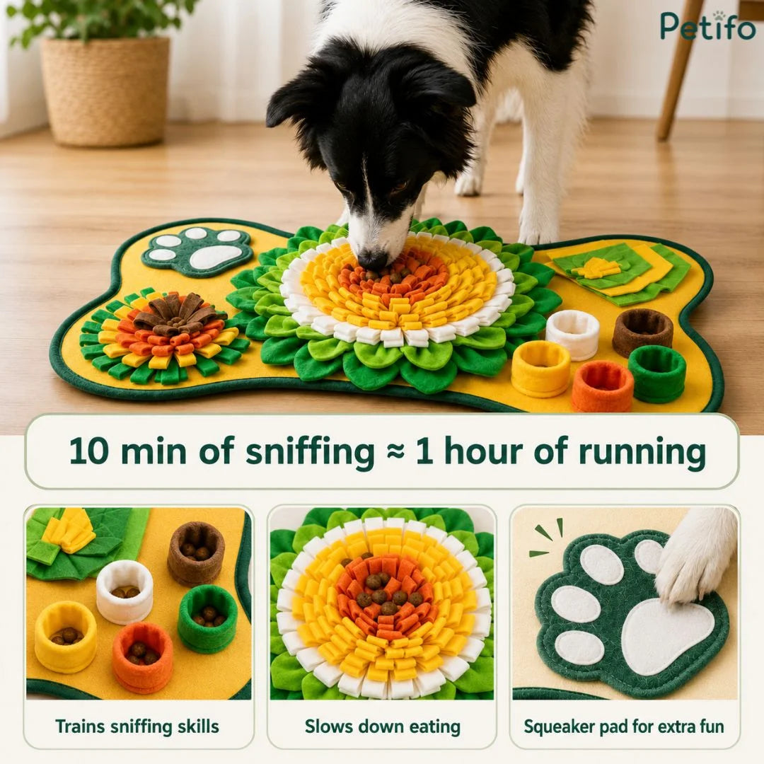 Border Collie sniffing a yellow and green snuffle mat with text stating that 10 minutes of sniffing equals 1 hour of running, highlighting sniffing skills, slow eating, and a squeaker pad.