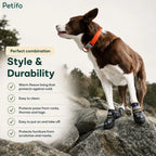 Brown and white dog standing on rocks outdoors wearing durable winter boots highlighting style and protection features.