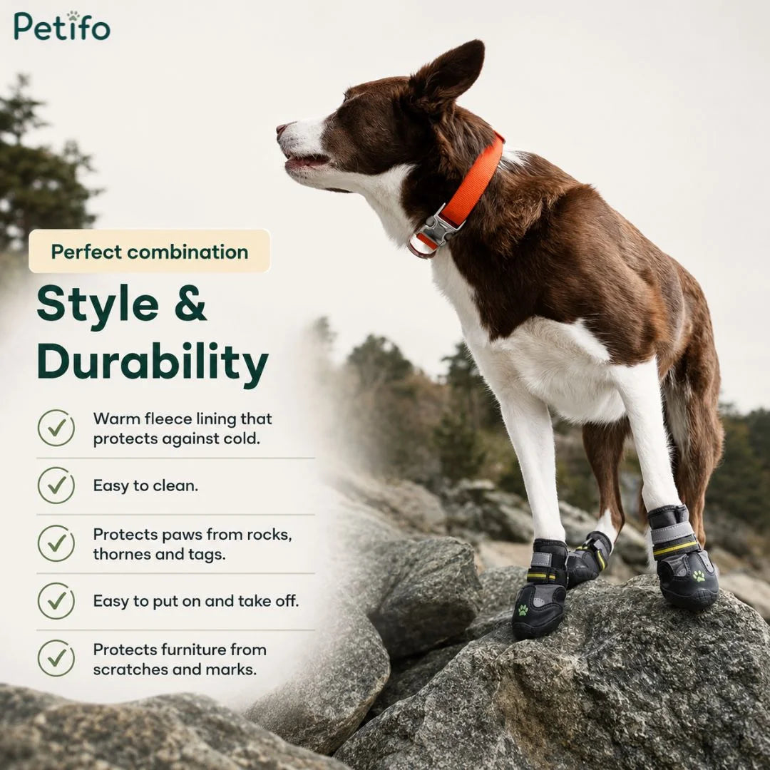Brown and white dog standing on rocks outdoors wearing durable winter boots highlighting style and protection features.