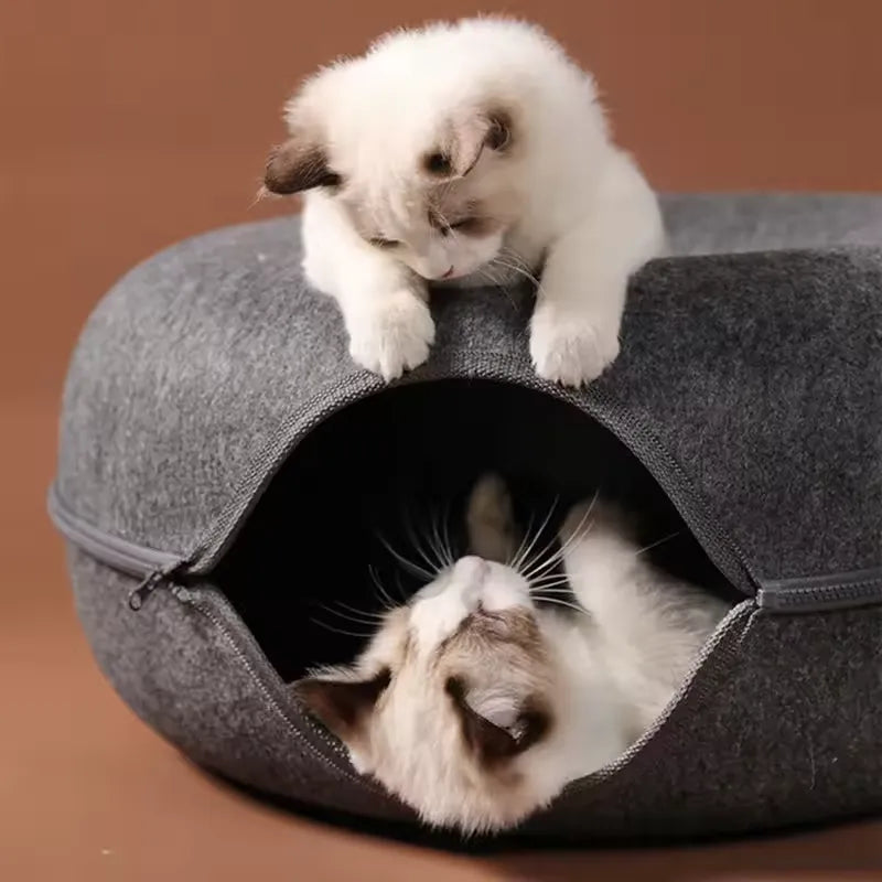 Two small cute kittens playing with the cat bed