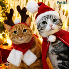 Two cats dressed in Christmas costumes, one wearing reindeer antlers and a scarf, and the other in a Santa hat and cape.