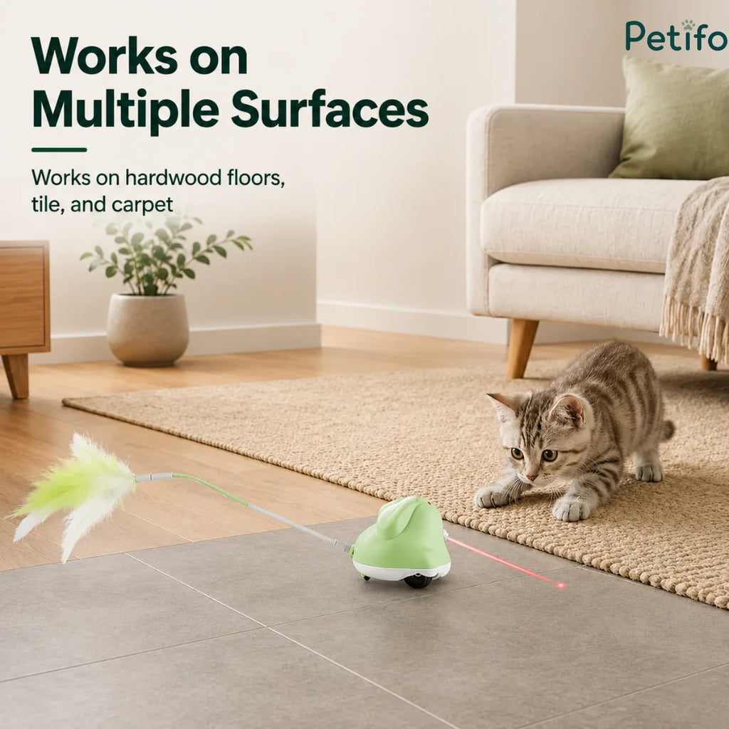 Petifo electronic cat toy operating seamlessly on multiple surfaces including hardwood floors, tile, and carpet